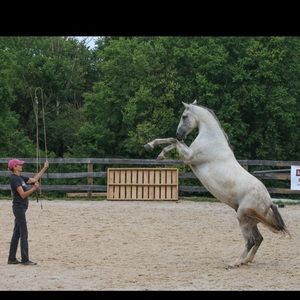 Meet your Posher, Barbara